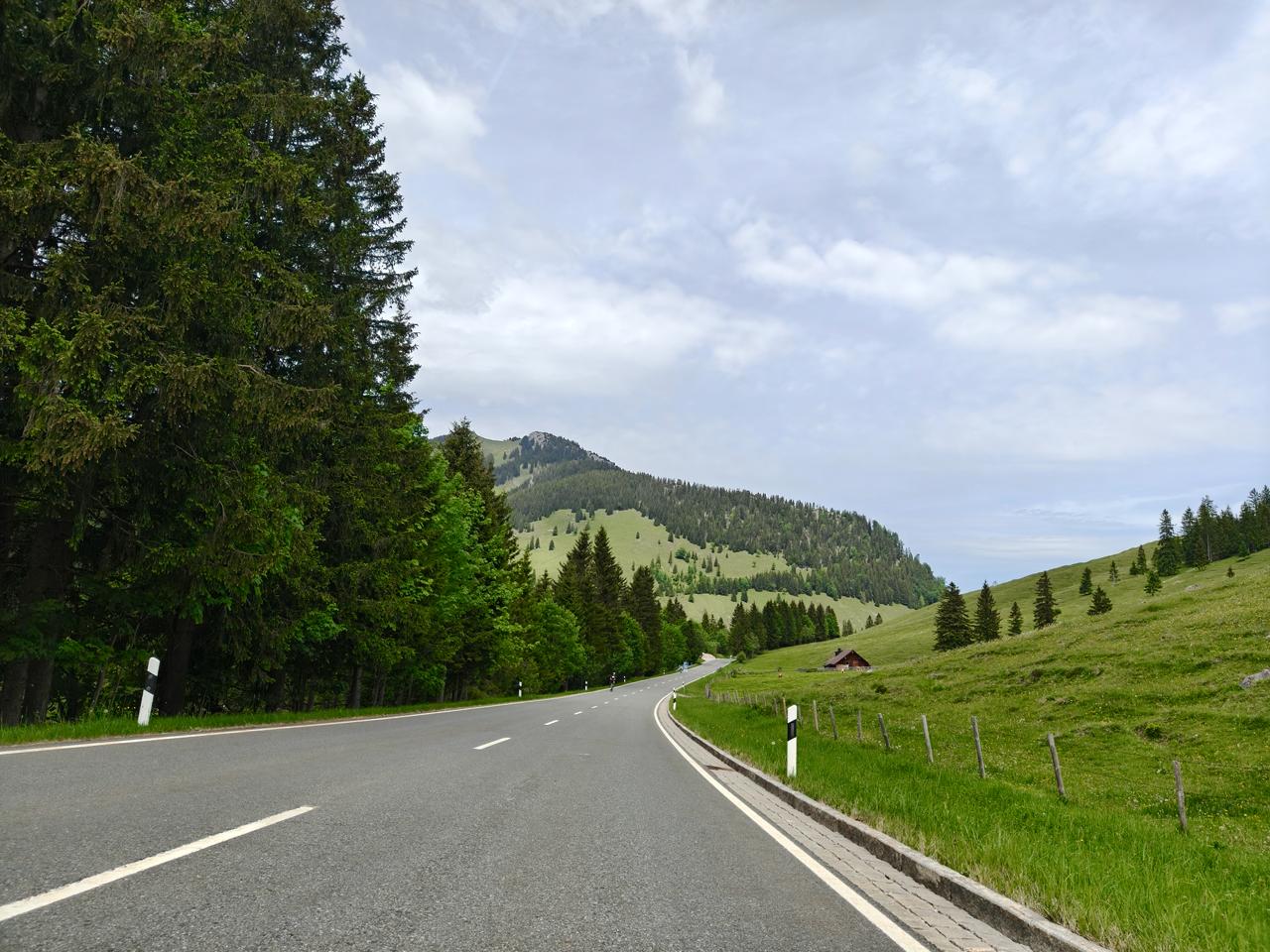 通往山坡与林线的公路