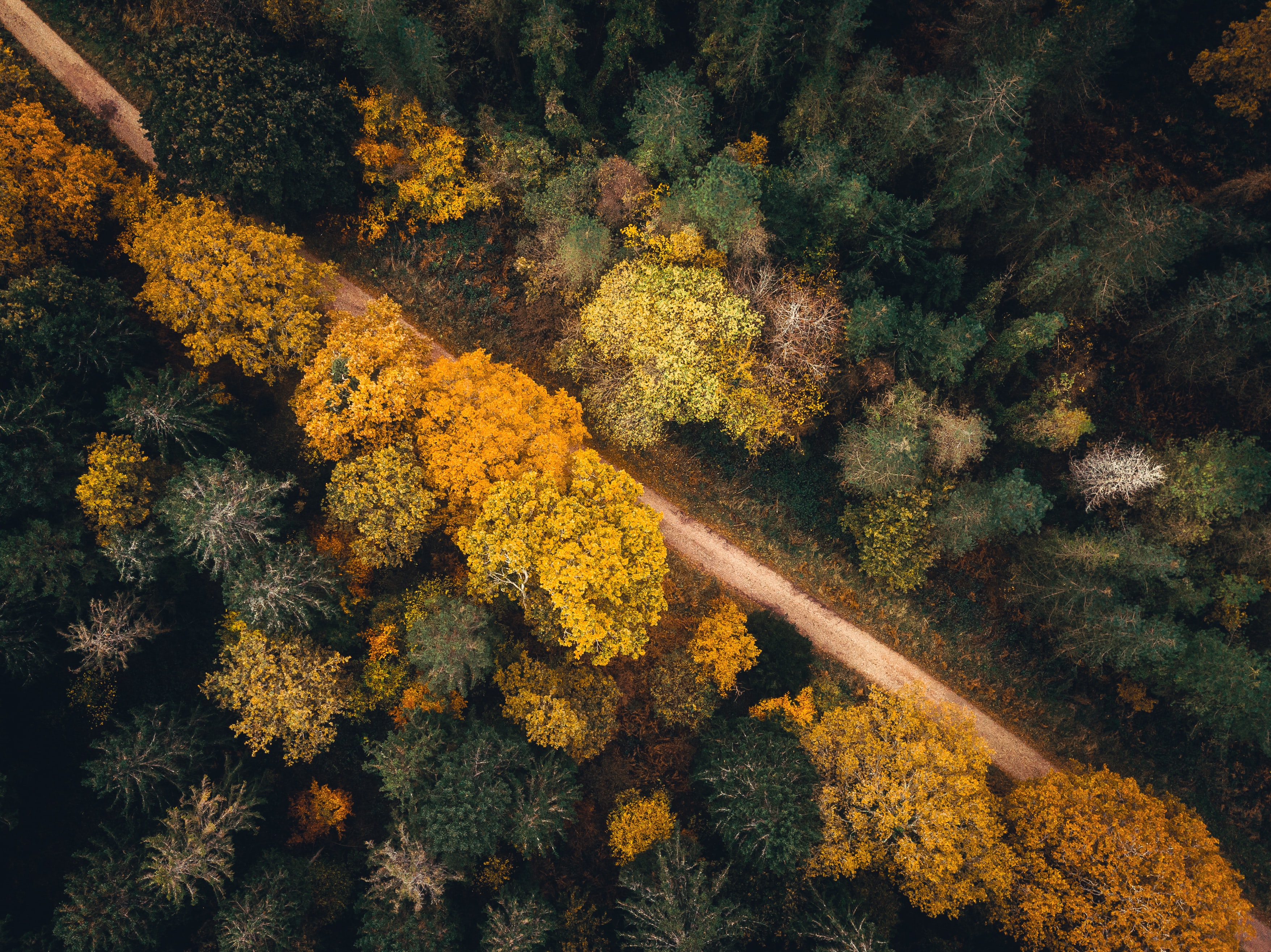 Cycling route landscape